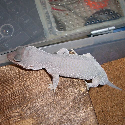暗黒面へご案内？