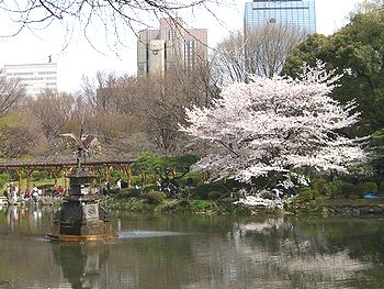 鶴の噴水と桜