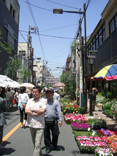 お富士さんの植木市