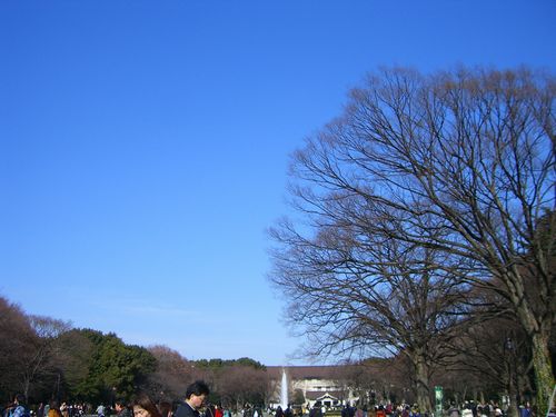 080211上野公園