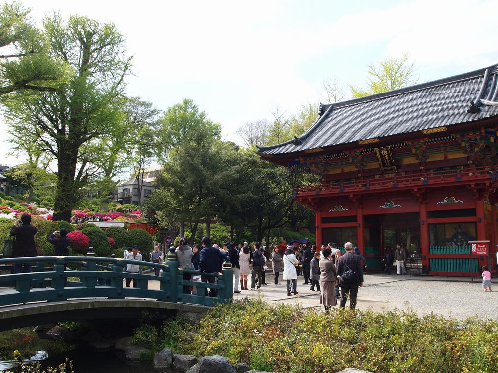 10.04.24撮影 根津神社・文京つつじまつり