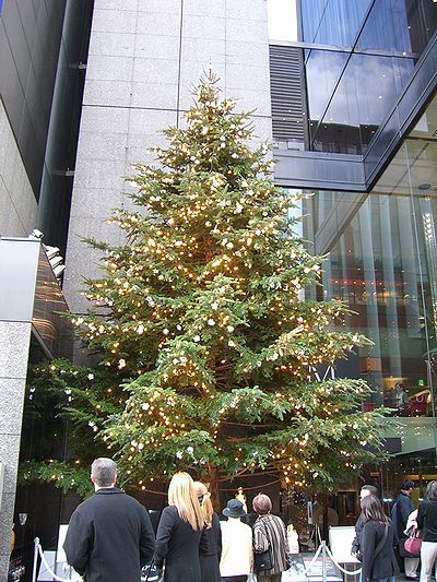 銀座ミキモトのクリスマスツリー